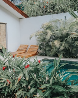 green palm tree near brown wooden bench