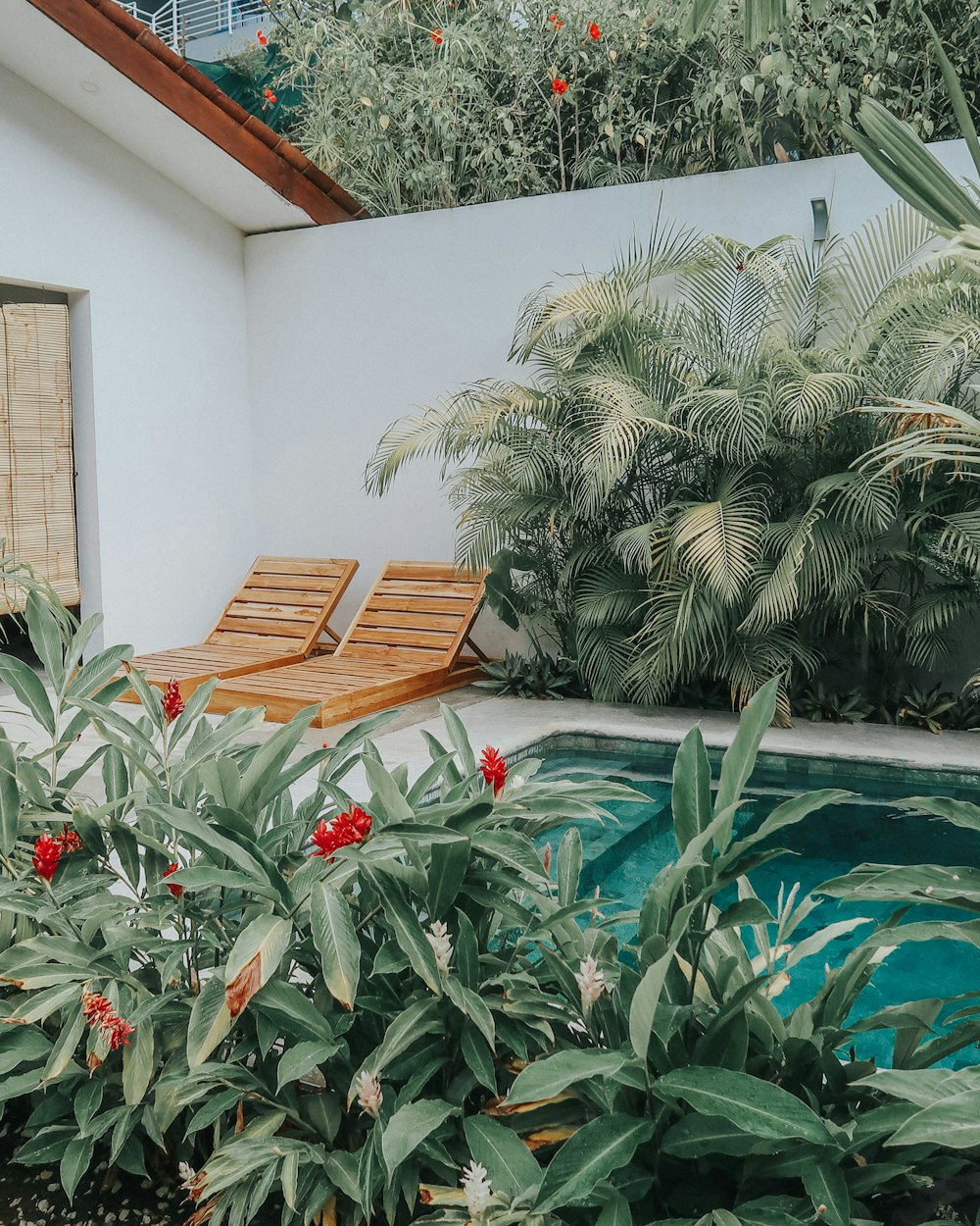 green palm tree near brown wooden bench