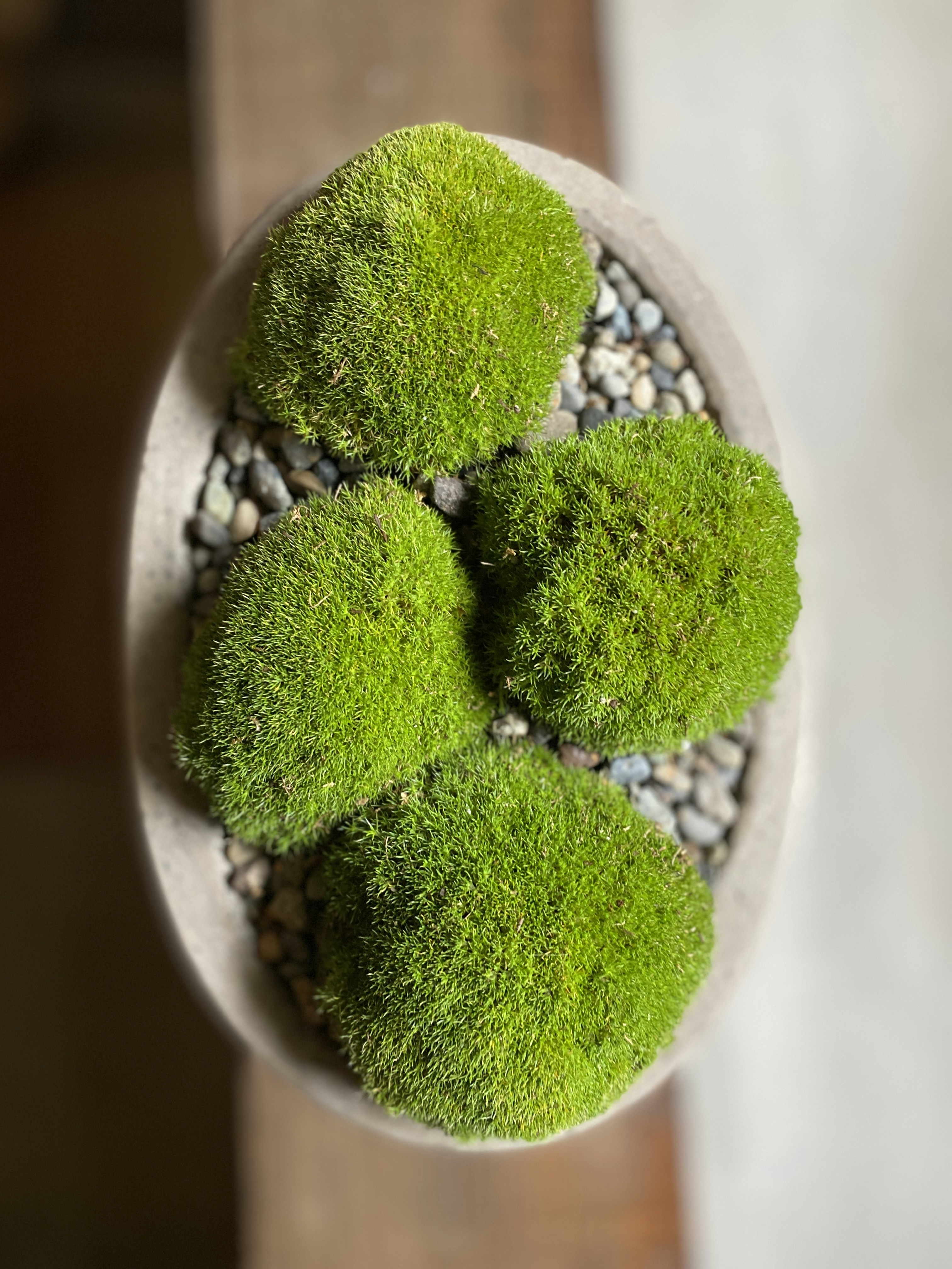 Définition de qu'à cela ne tienne Dictionnaire français