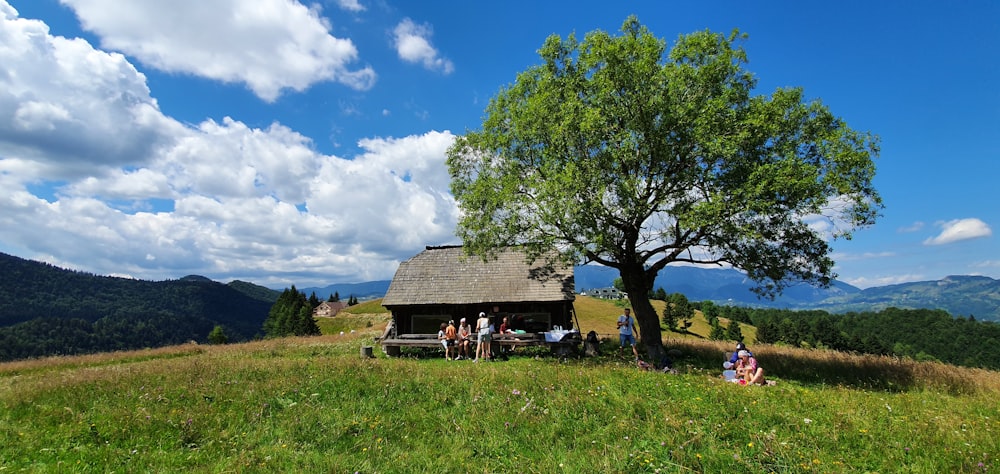 brown wooden house near green trees under blue sky during daytime