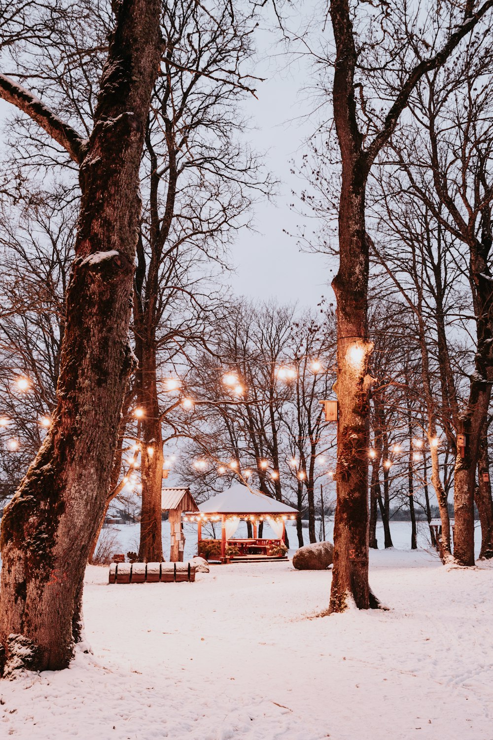 a snowy park with benches and lights
