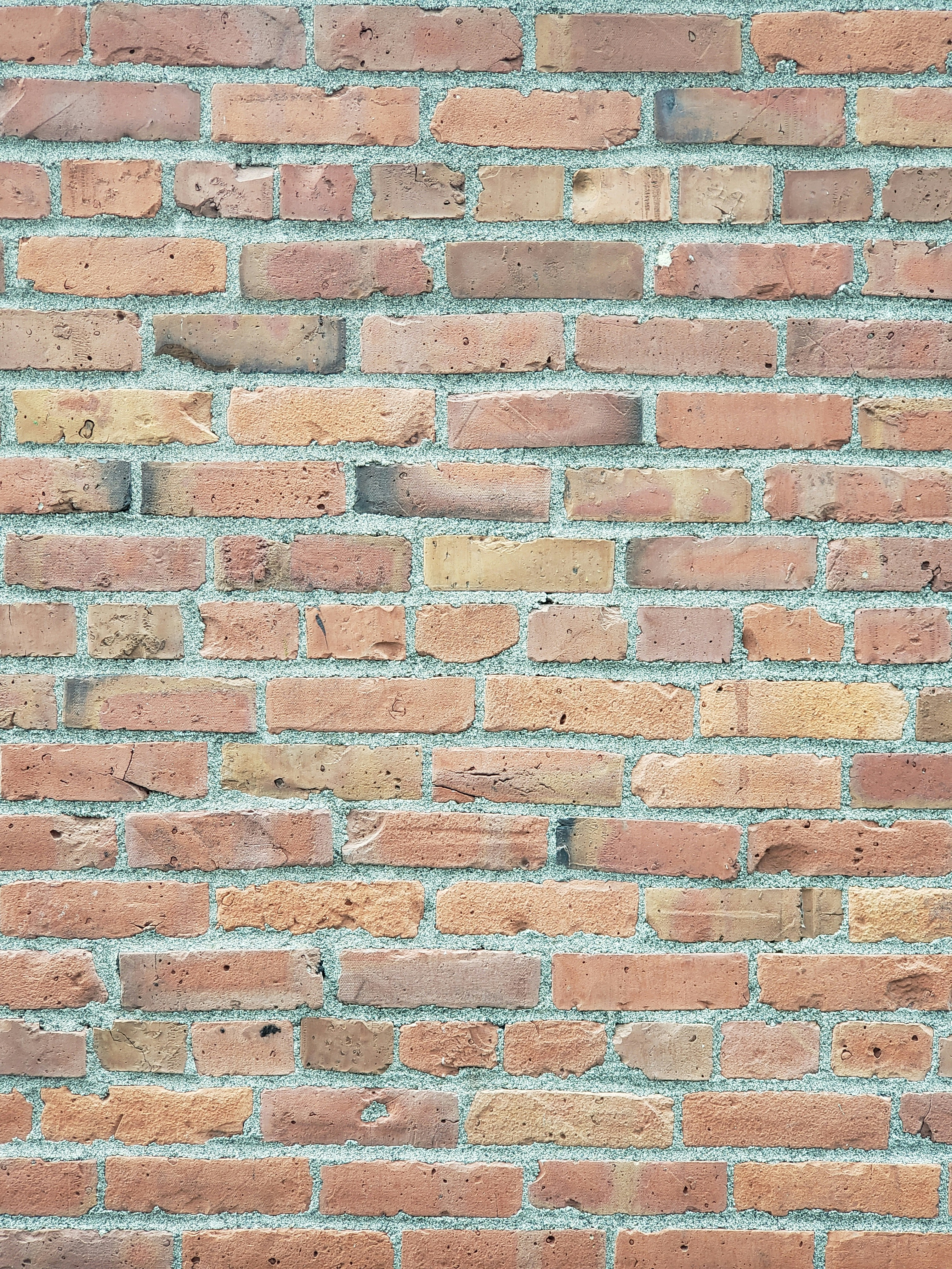 Photo by hybrid_k_photo