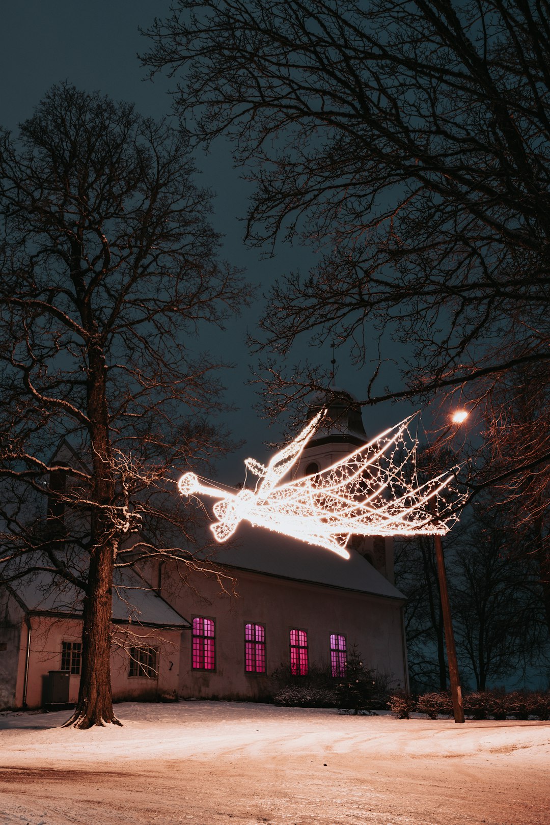 white basketball hoop near bare tree during night time