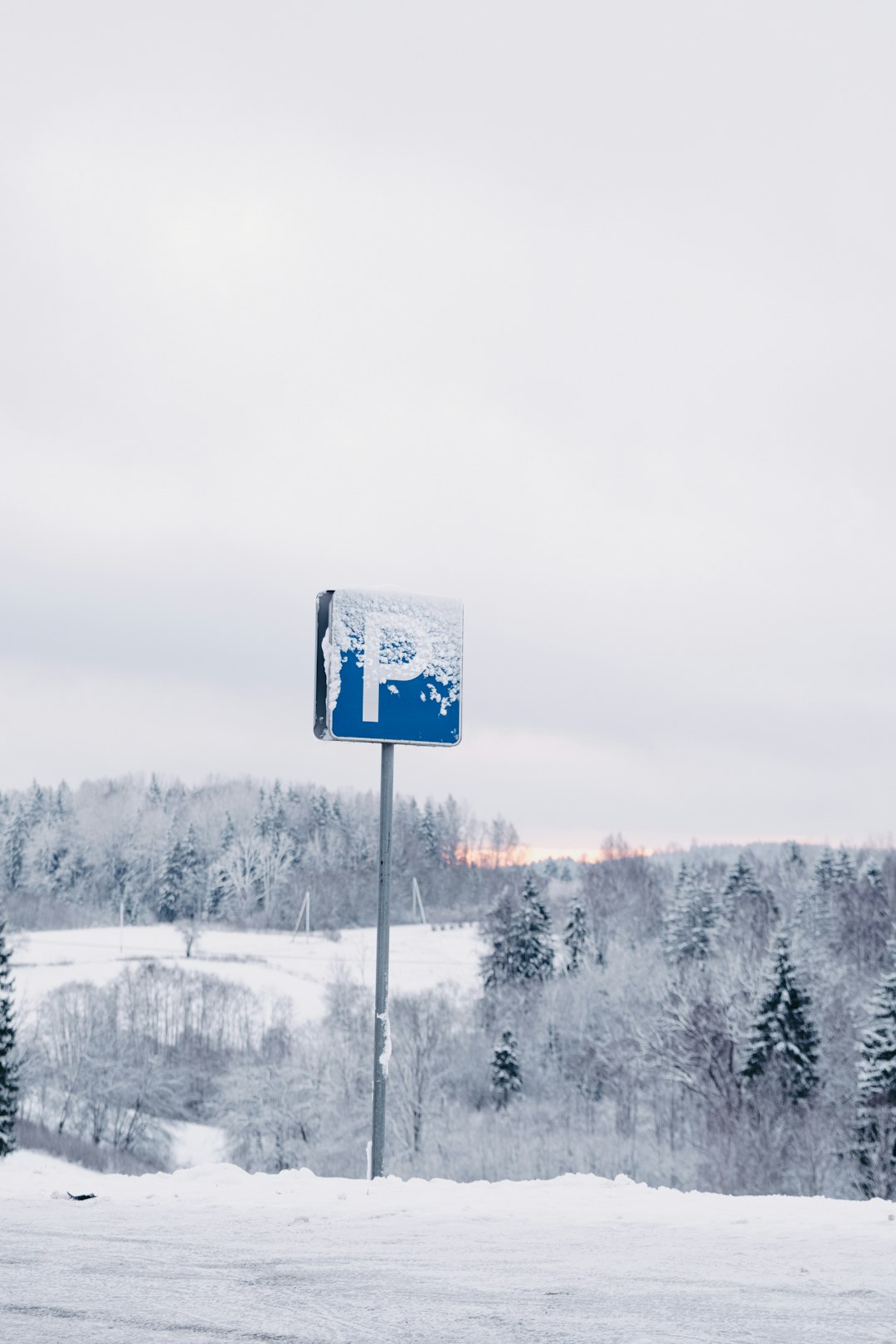 blue and white street sign near trees during daytime