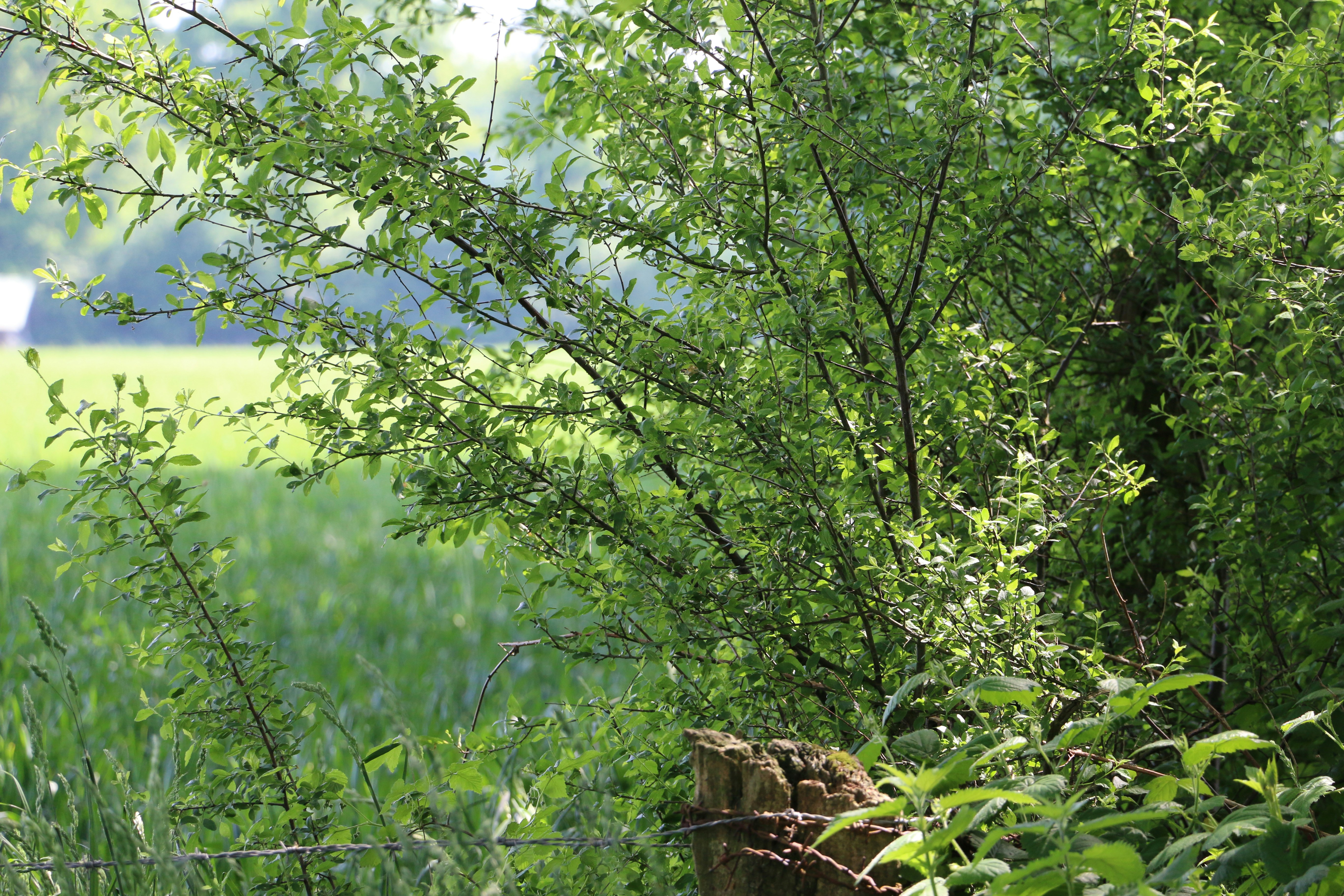 Photo by herausgeber