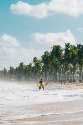 surfing in the tropics
