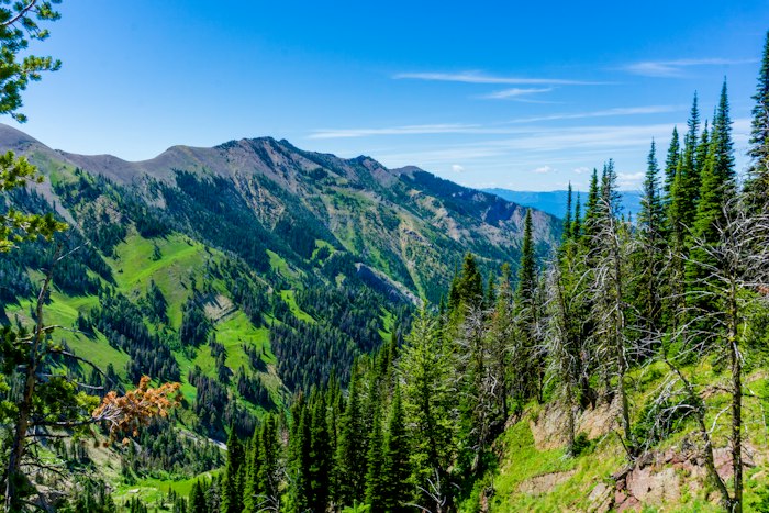 Green forested mountains near Bozeman Montana in summer