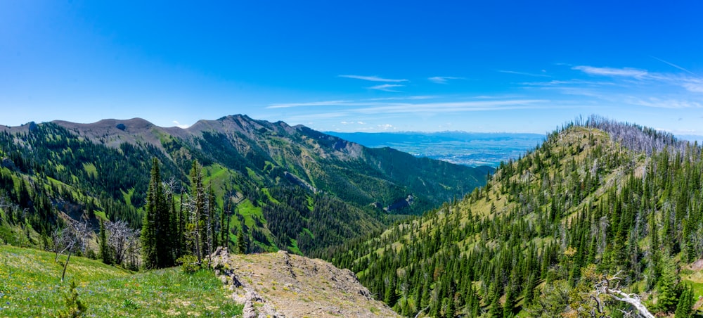 green trees on mountain under blue sky during daytime