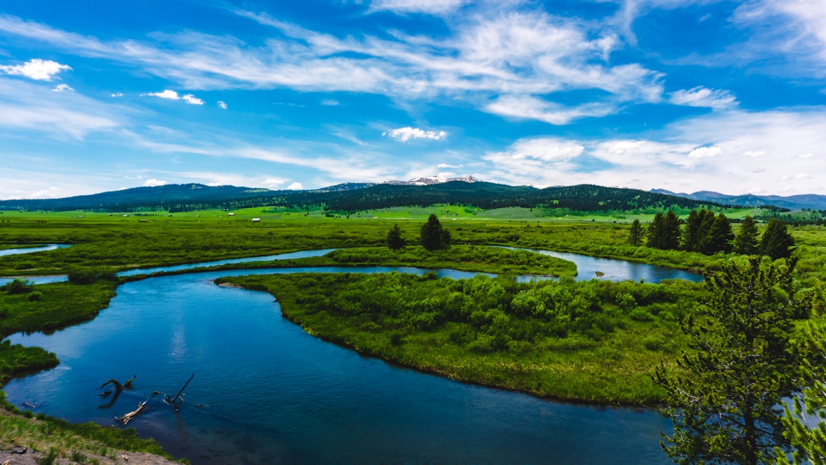 Fly fishing in Oregon