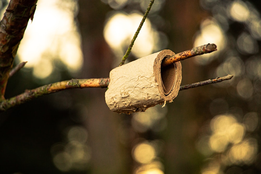 brown wooden padlock on brown metal wire