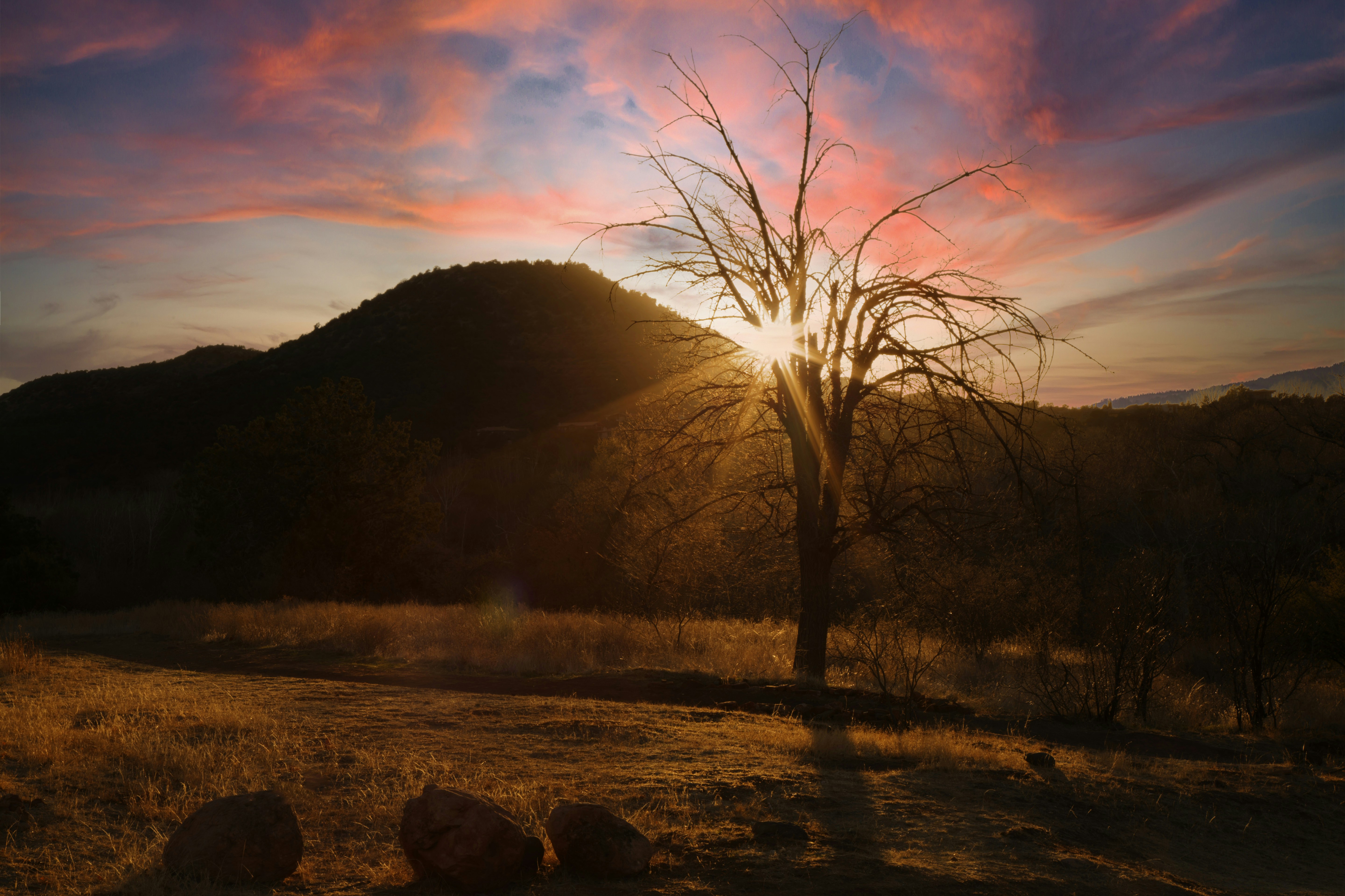 Photo by highlander1946