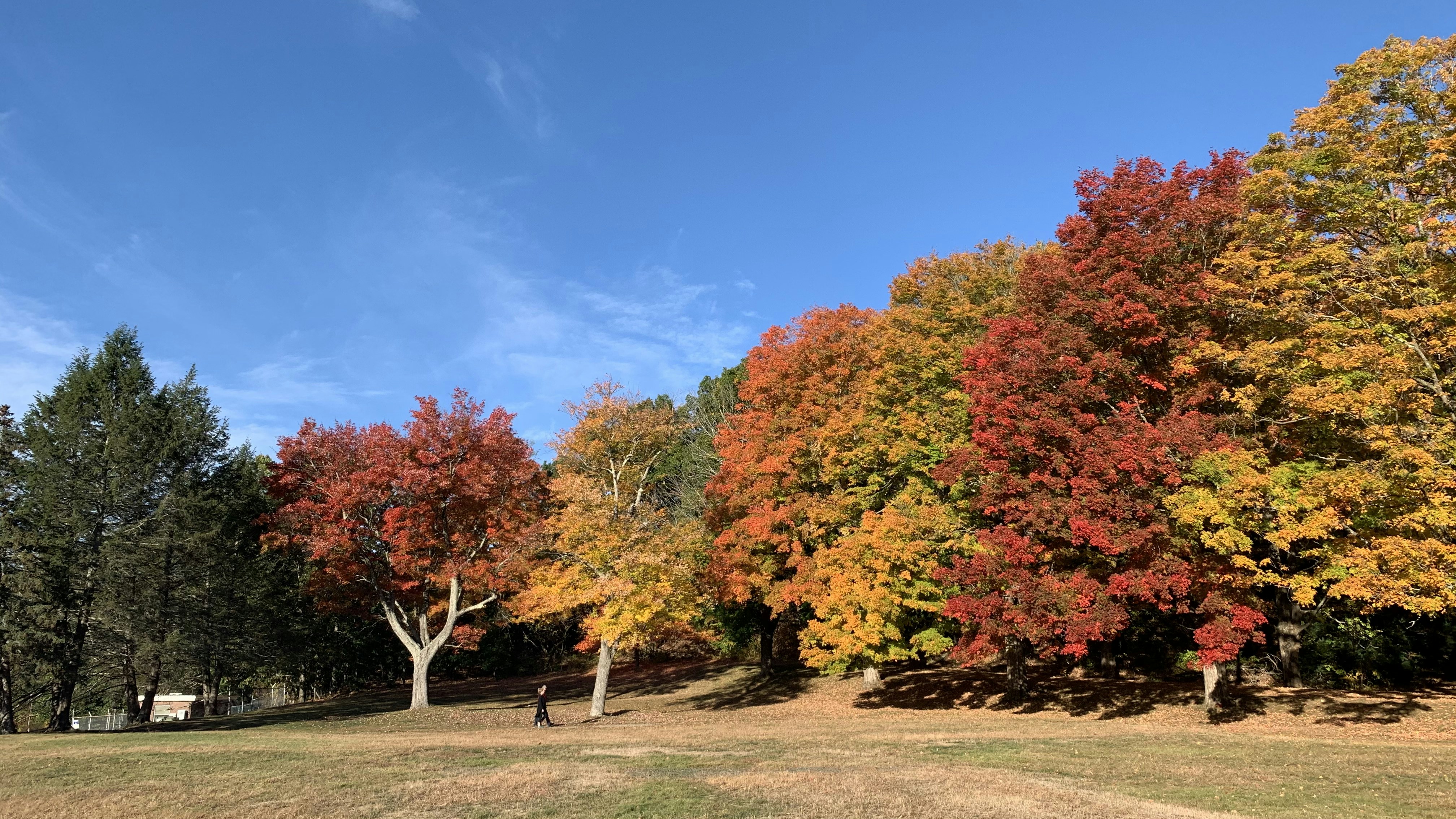 Photo by honeyfaith143