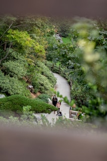 A serene garden path where a caregiver and client enjoy a peaceful walk together.