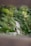A serene garden path winds through lush greenery, bordered by wooden railings. Two adults and a child walk along the path, surrounded by trees and bushes. The scene is vibrant yet tranquil, with natural beauty emphasized by the dense foliage.