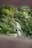 A serene garden path winds through lush greenery, bordered by wooden railings. Two adults and a child walk along the path, surrounded by trees and bushes. The scene is vibrant yet tranquil, with natural beauty emphasized by the dense foliage.