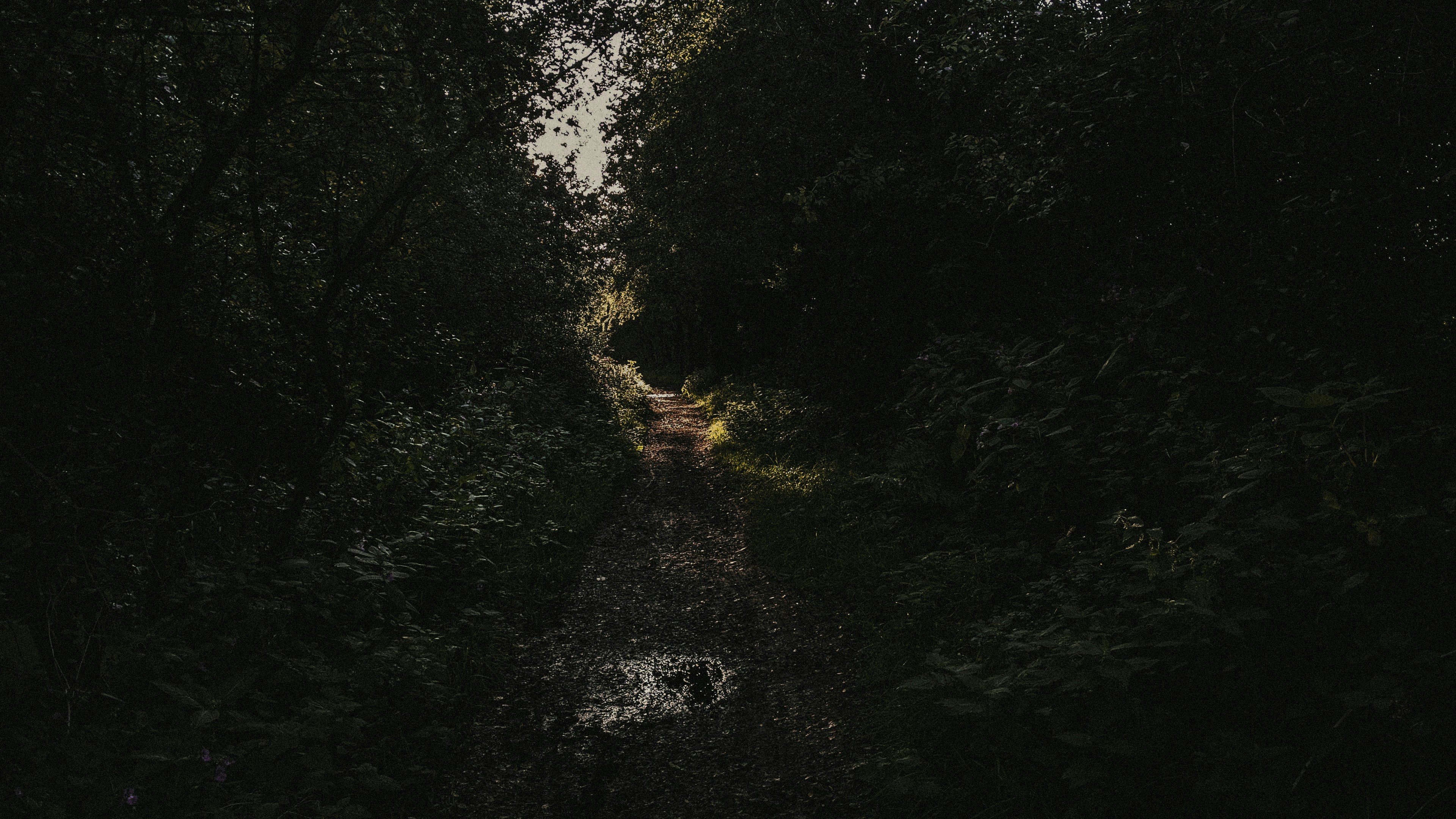 Photo by winterandstars