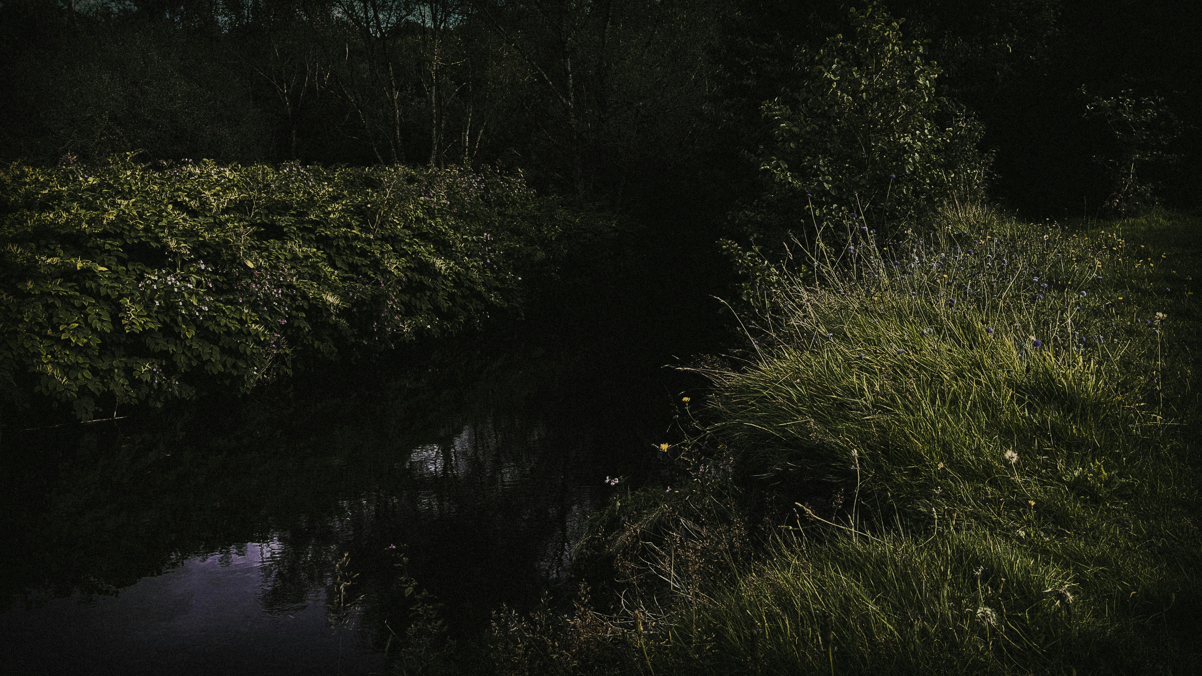 Photo by winterandstars