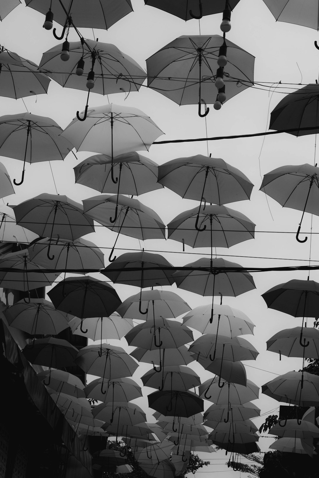 grayscale photo of umbrella during daytime