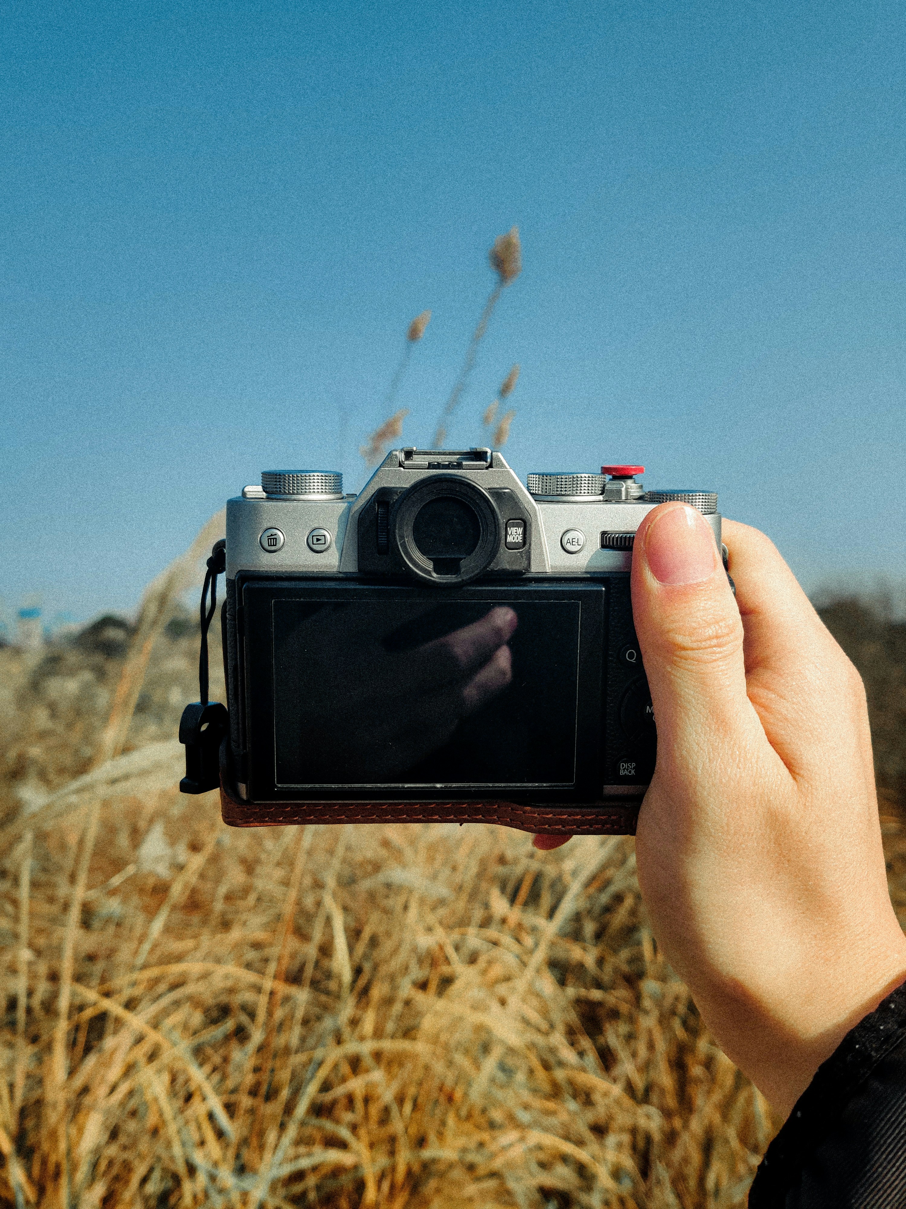 Photo by xiexianghua