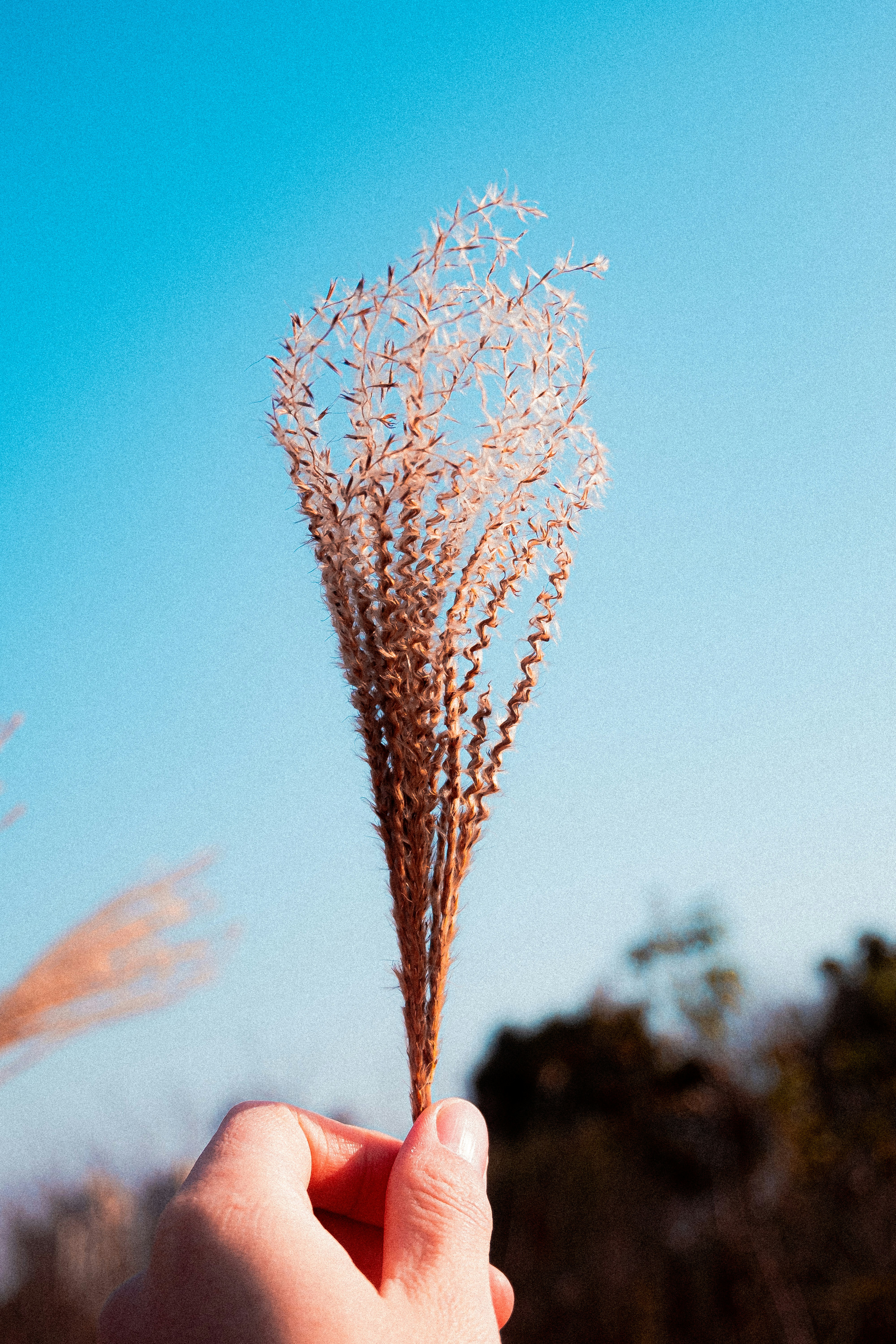 Photo by xiexianghua