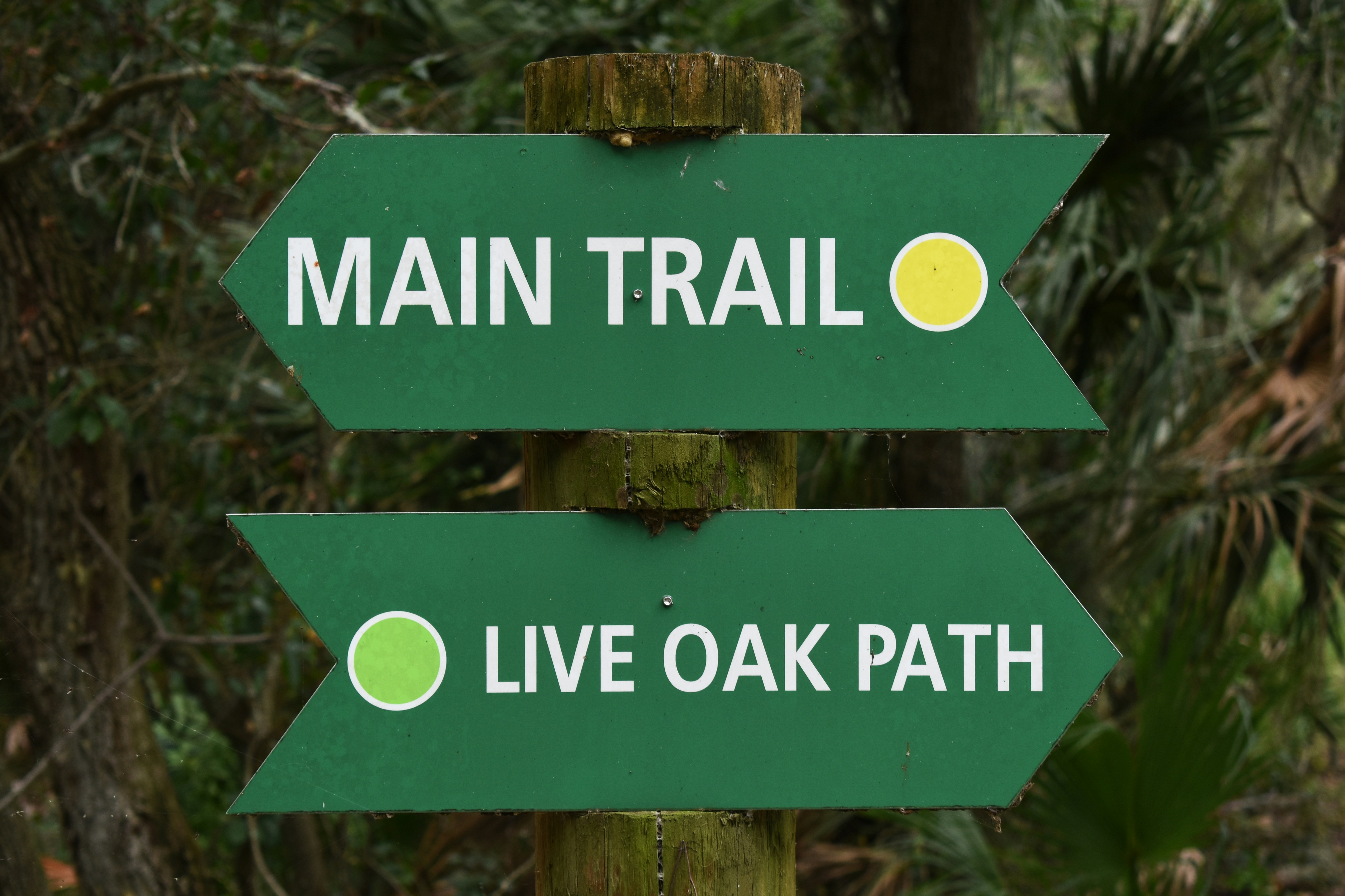 a green sign with two green arrows pointing in opposite directions