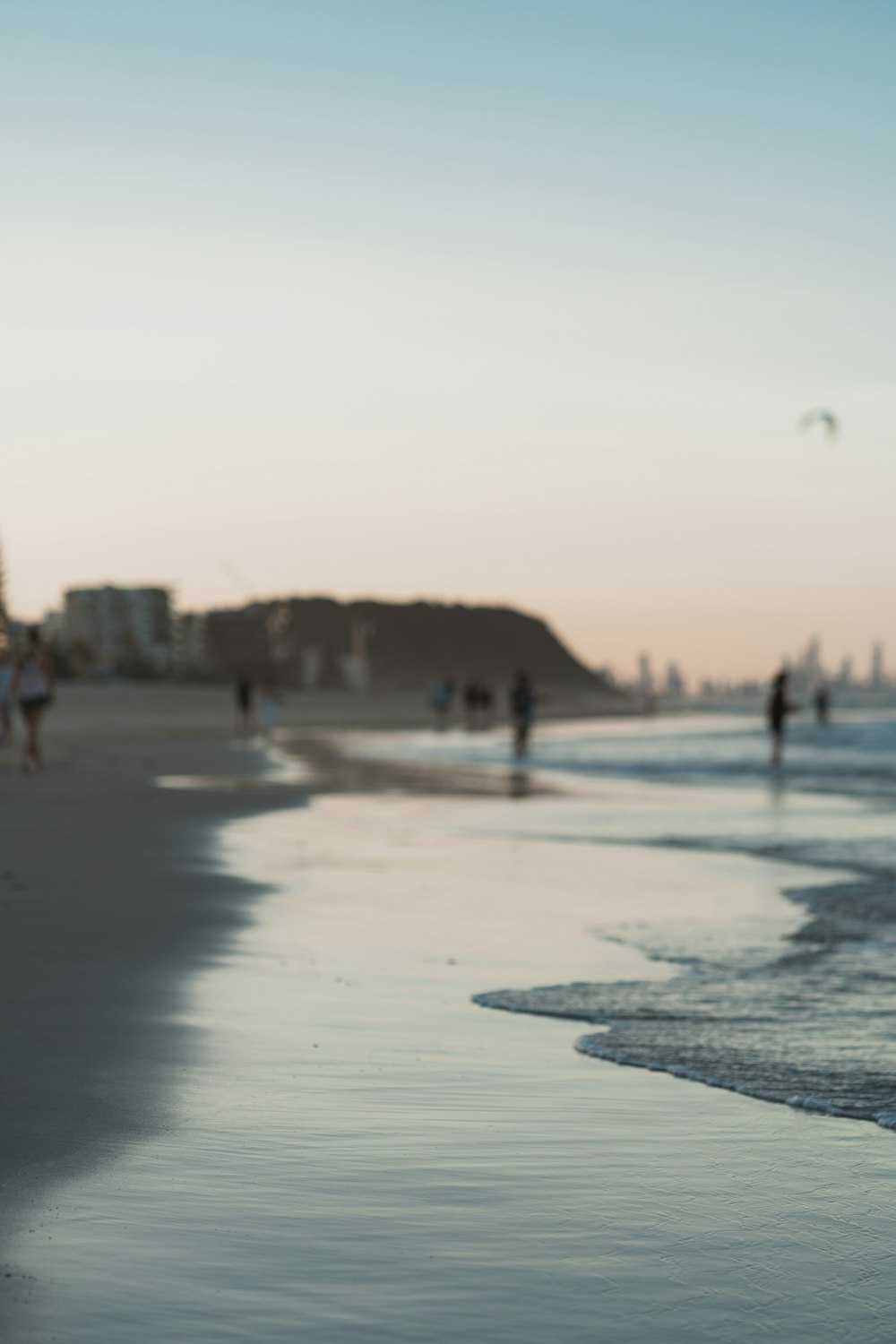 people on beach during daytime