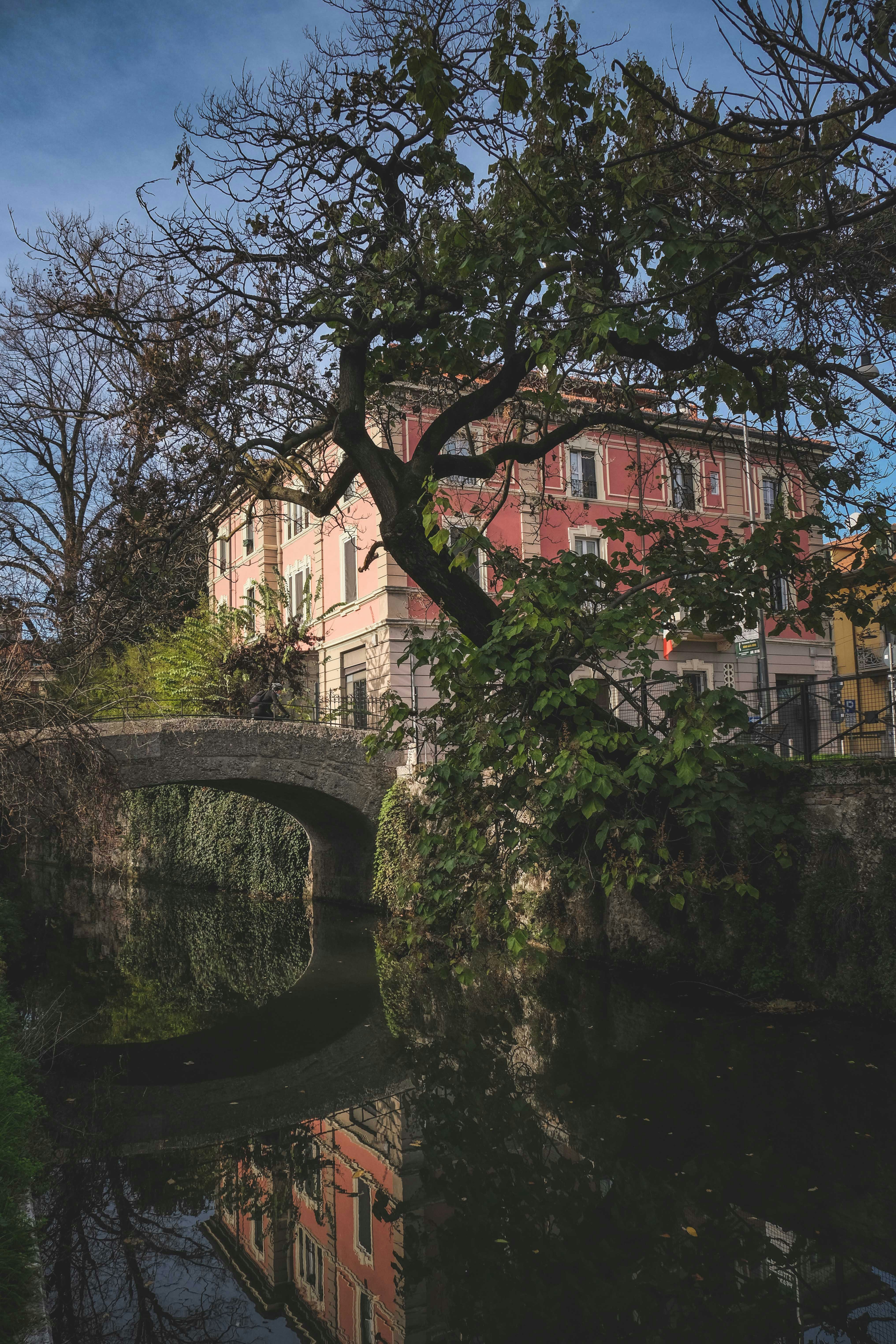 Photo by francesco_ungaro