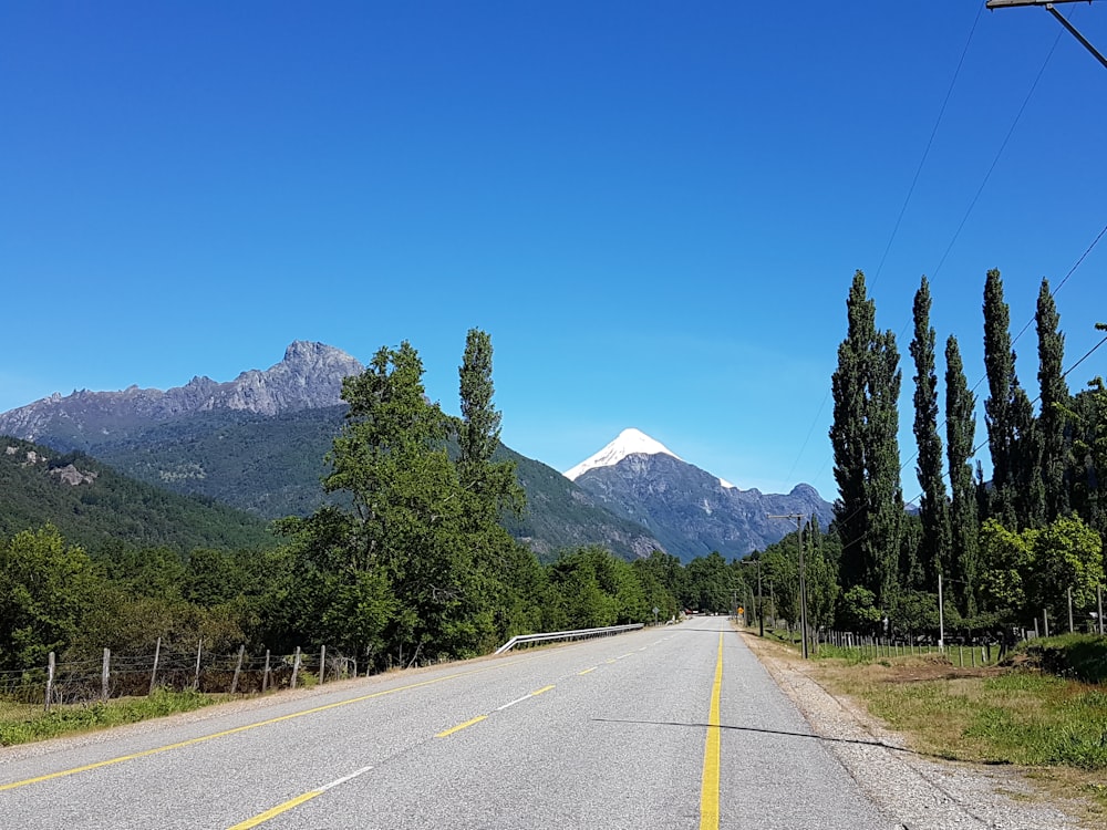 green trees near gray concrete road during daytime