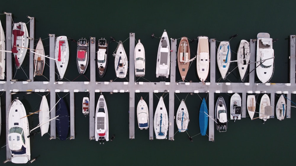 white and blue surfing board lot