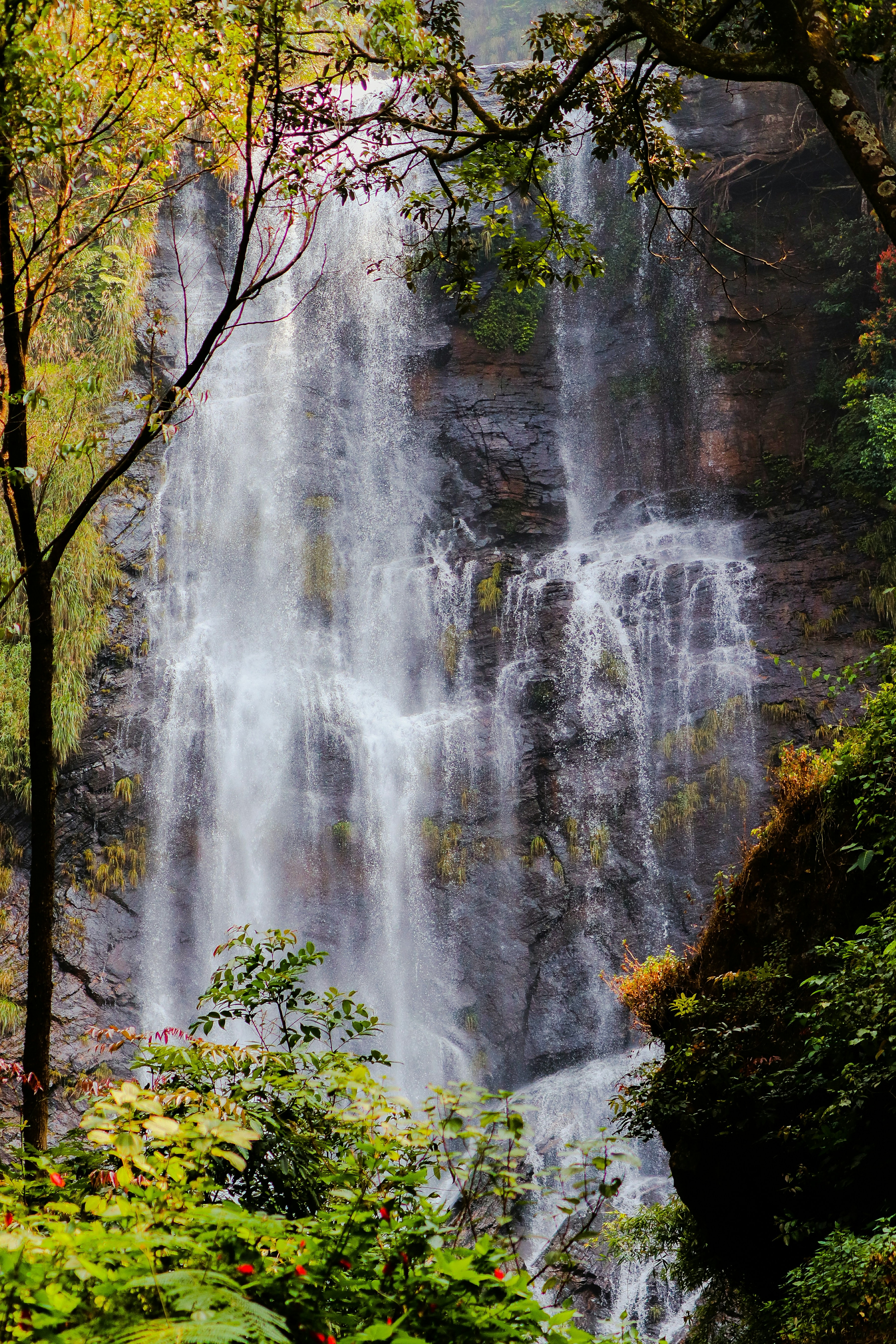 Photo by lpavankumaar