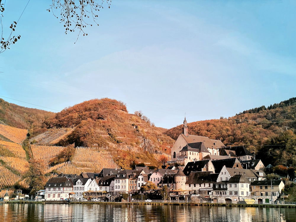 houses near body of water during daytime