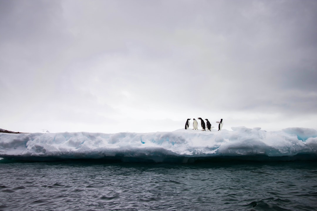 7 Unexpected Lessons from Exploring the World's Most Remote Destina… — 7 Unexpected Lessons from Exploring the