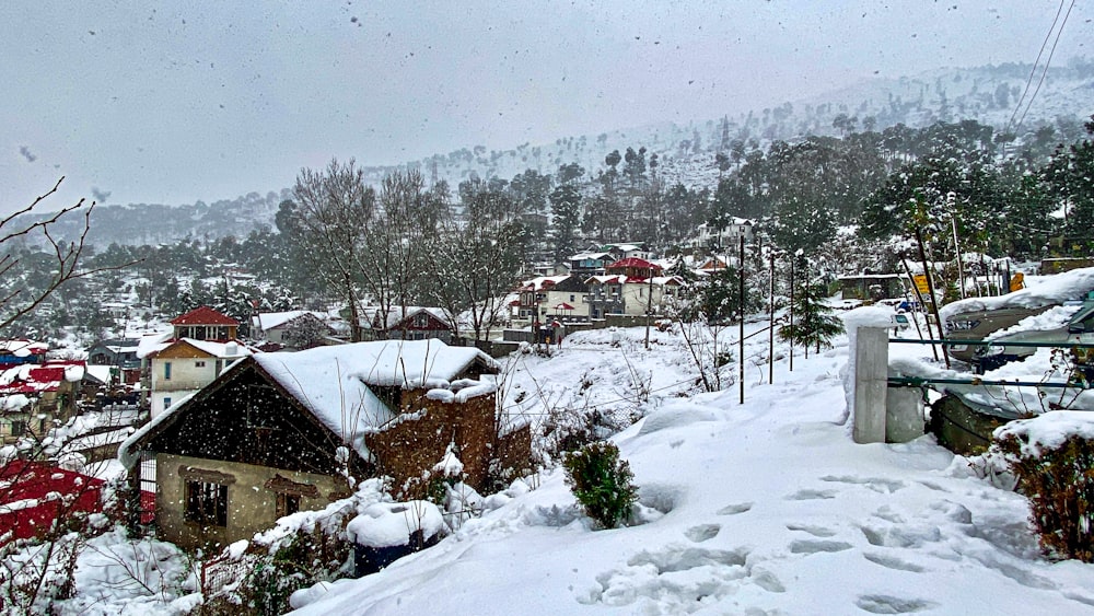 snow covered houses and trees during daytime