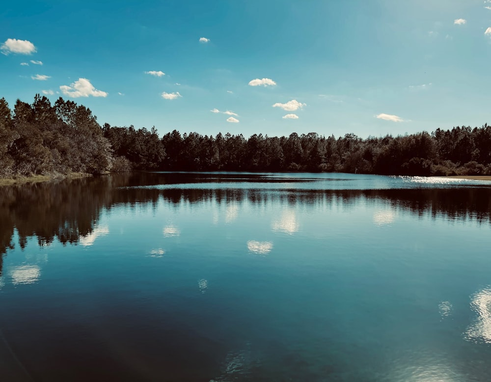 lake surrounded by trees under blue sky during daytime