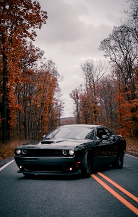 black porsche 911 on road near trees during daytime