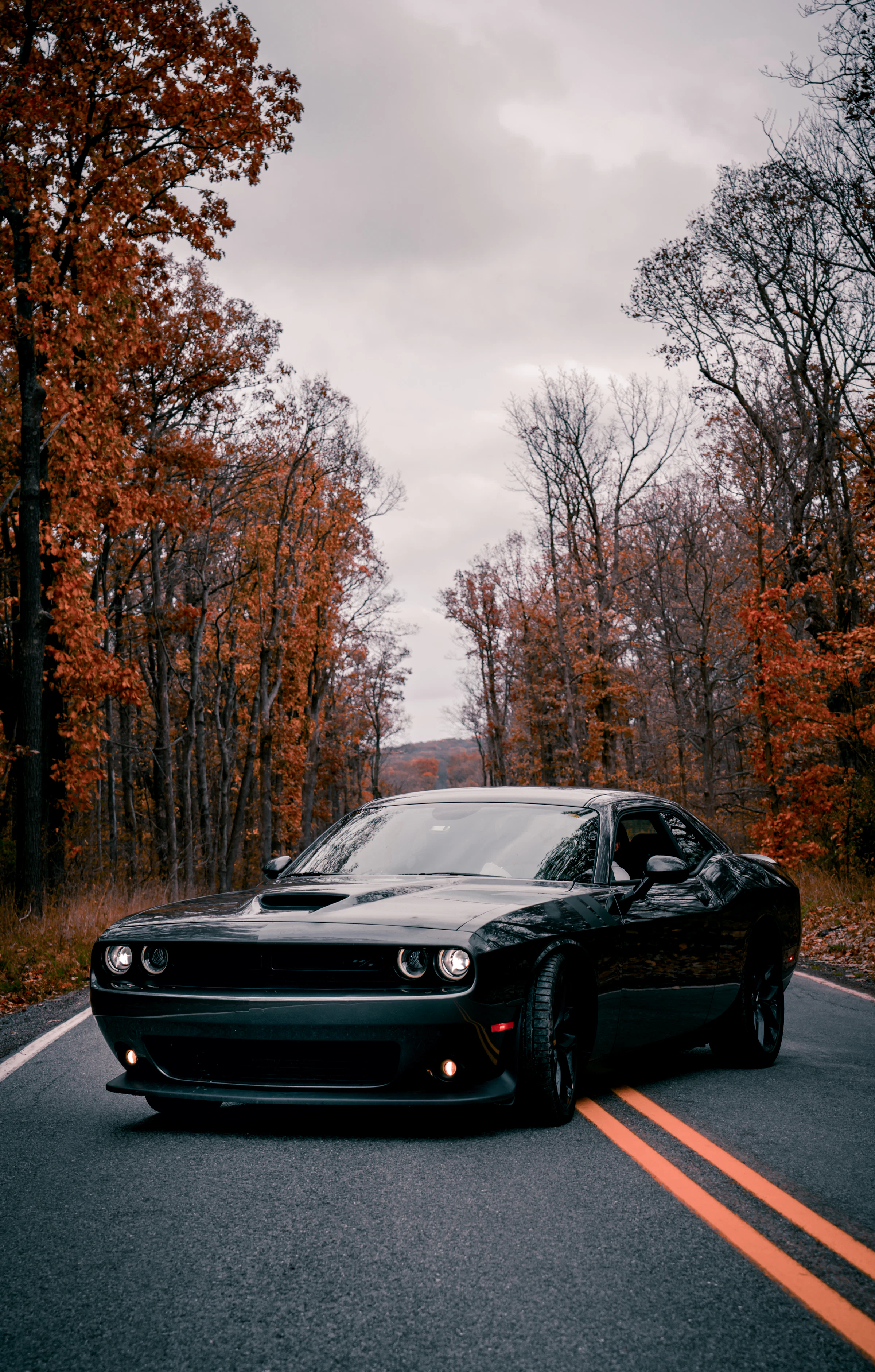 Dodge Challenger noire sur une route d'automne