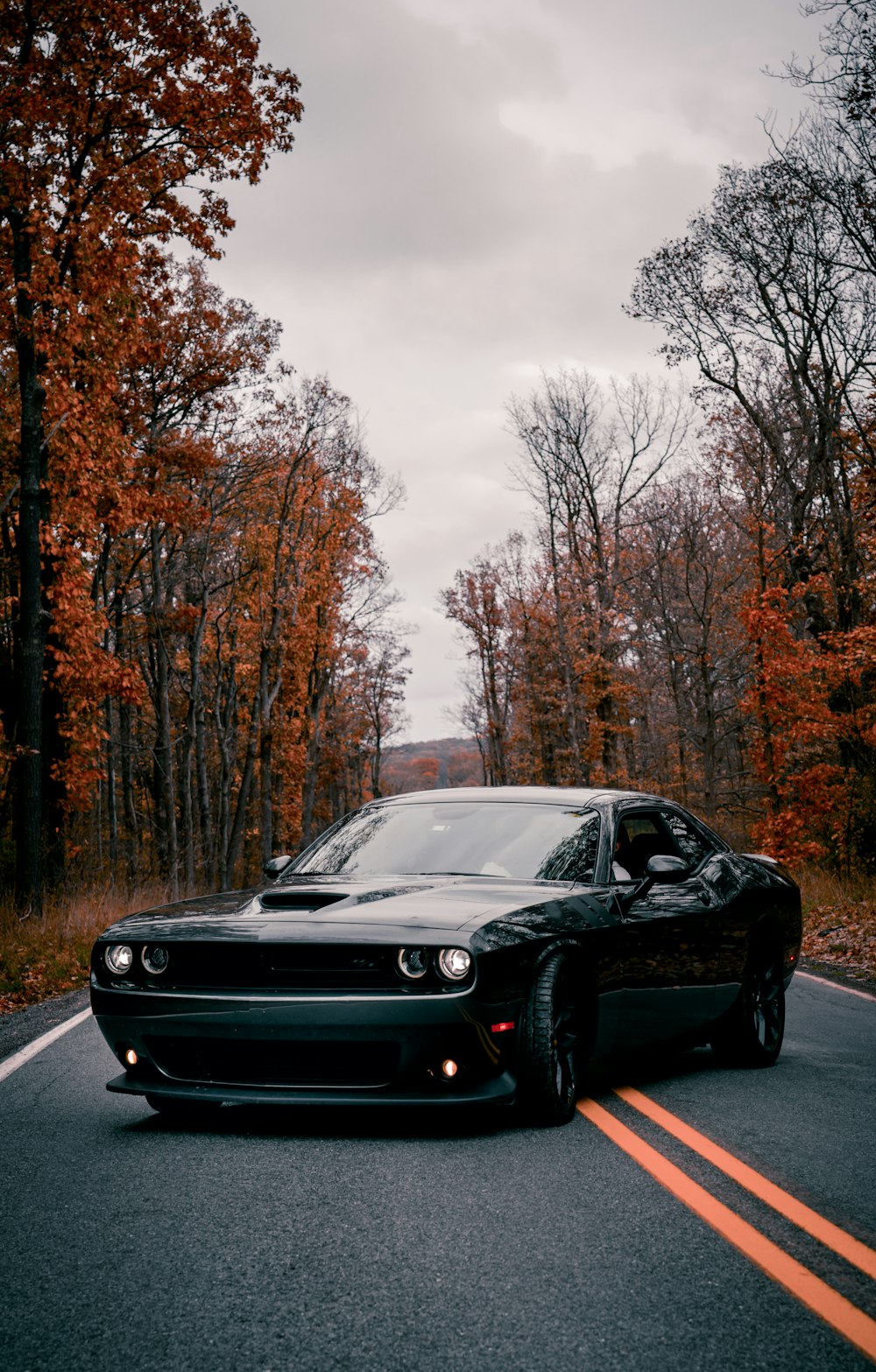 black porsche 911 on road near trees during daytime