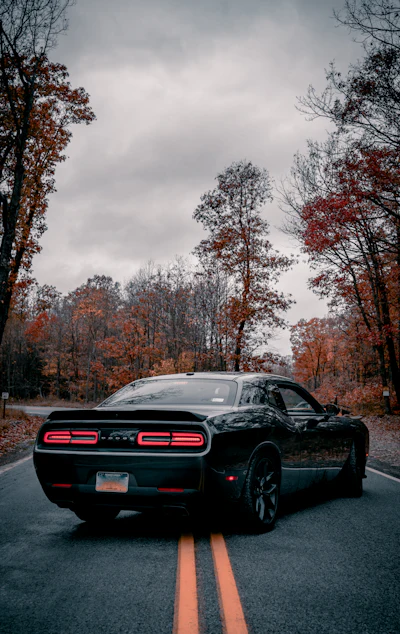 ProLab Motorsport Instagram