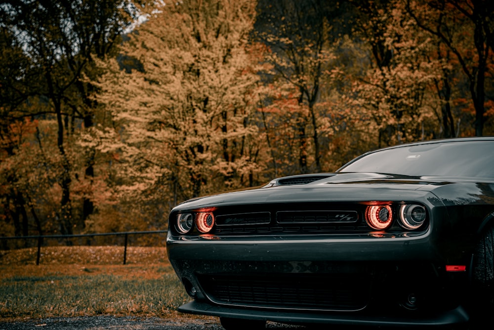 Chevrolet Camaro noire sur la route pendant la journée