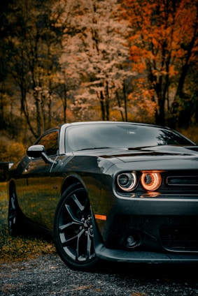 black porsche 911 parked on dirt road during daytime