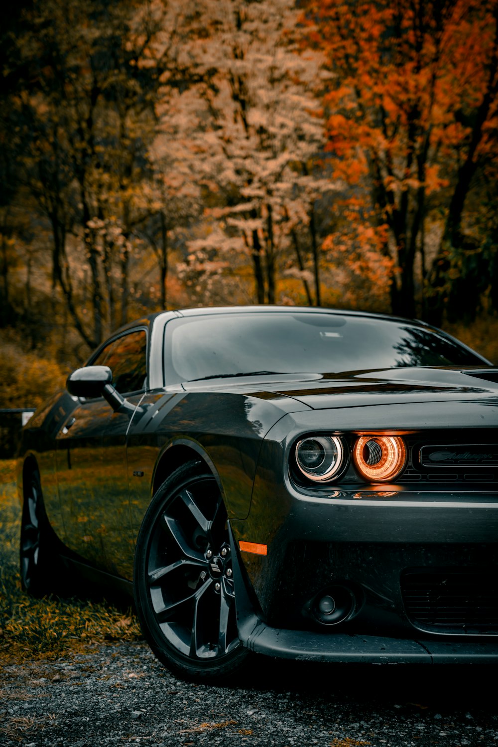 1000+ Dodge Challenger Pictures  Download Free Images on Unsplash