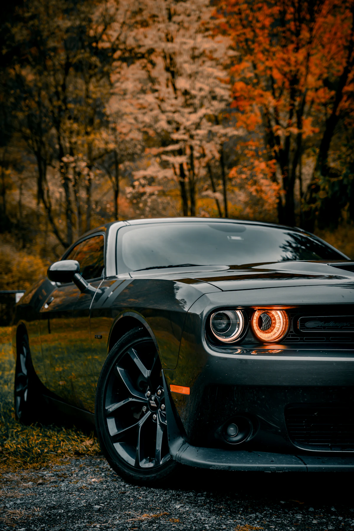 Ford Mustang 2019