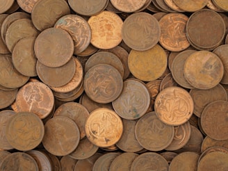 brown wooden round barrels on brown wooden floor
