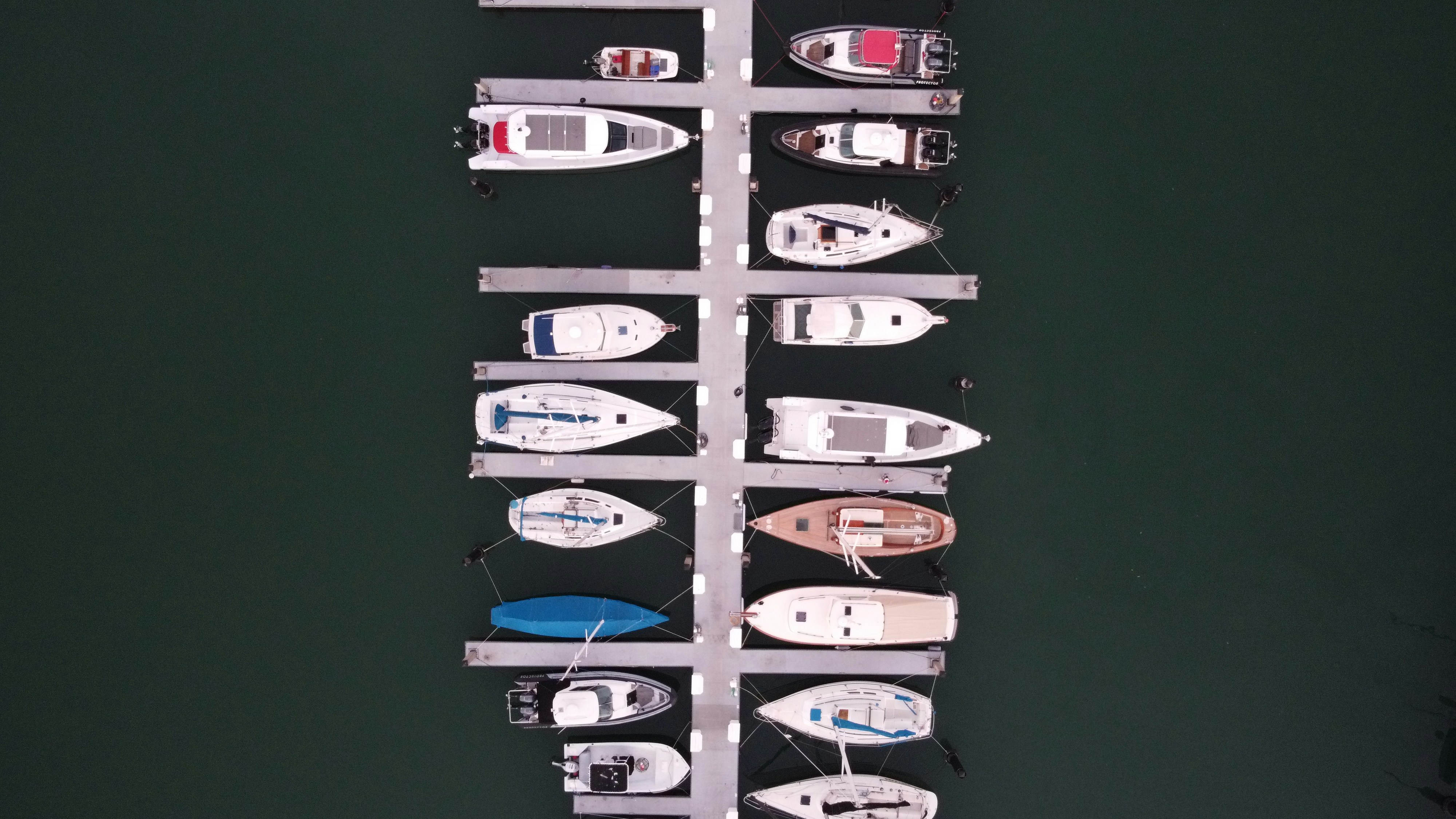 silver and black car wall mounted rack