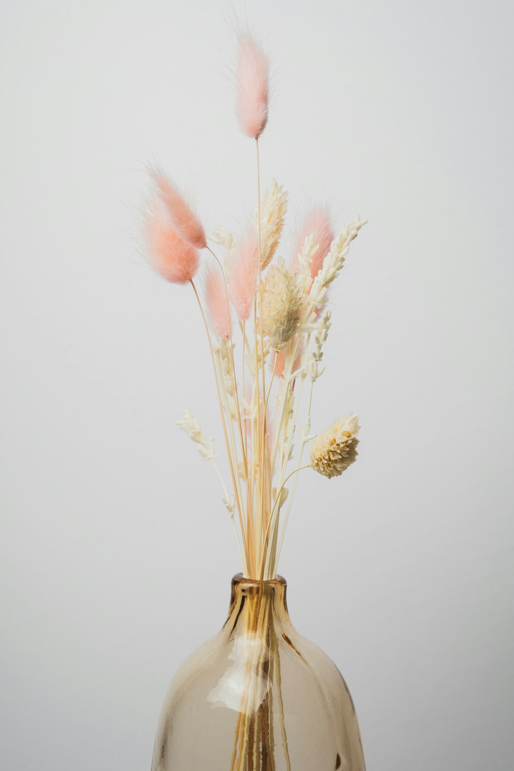 brown and white flower in vase