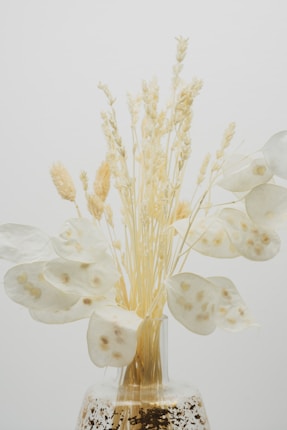 A delicate arrangement of dried flowers and seed pods in an elegant, translucent vase. The composition features creamy white hues with soft, subtle textures, highlighting the natural beauty of the plants.