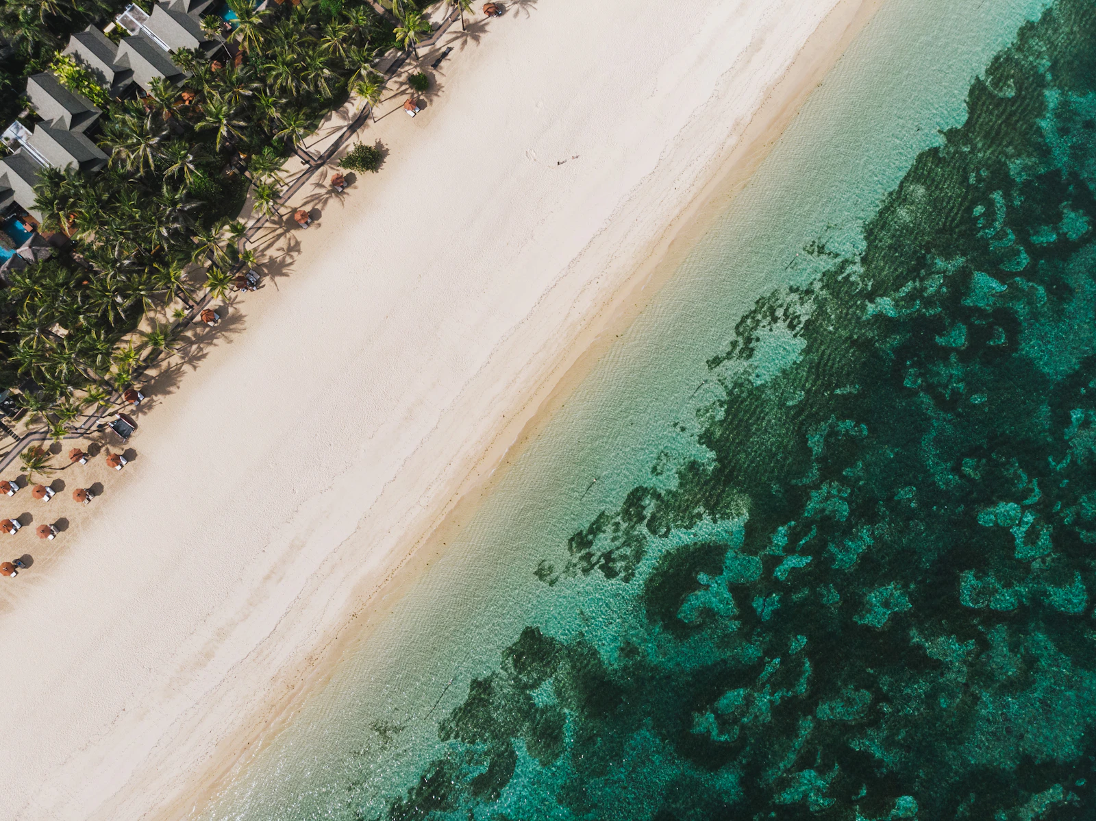 White sand tropical beach and palm trees in Bali for couples — Photo from Unsplash