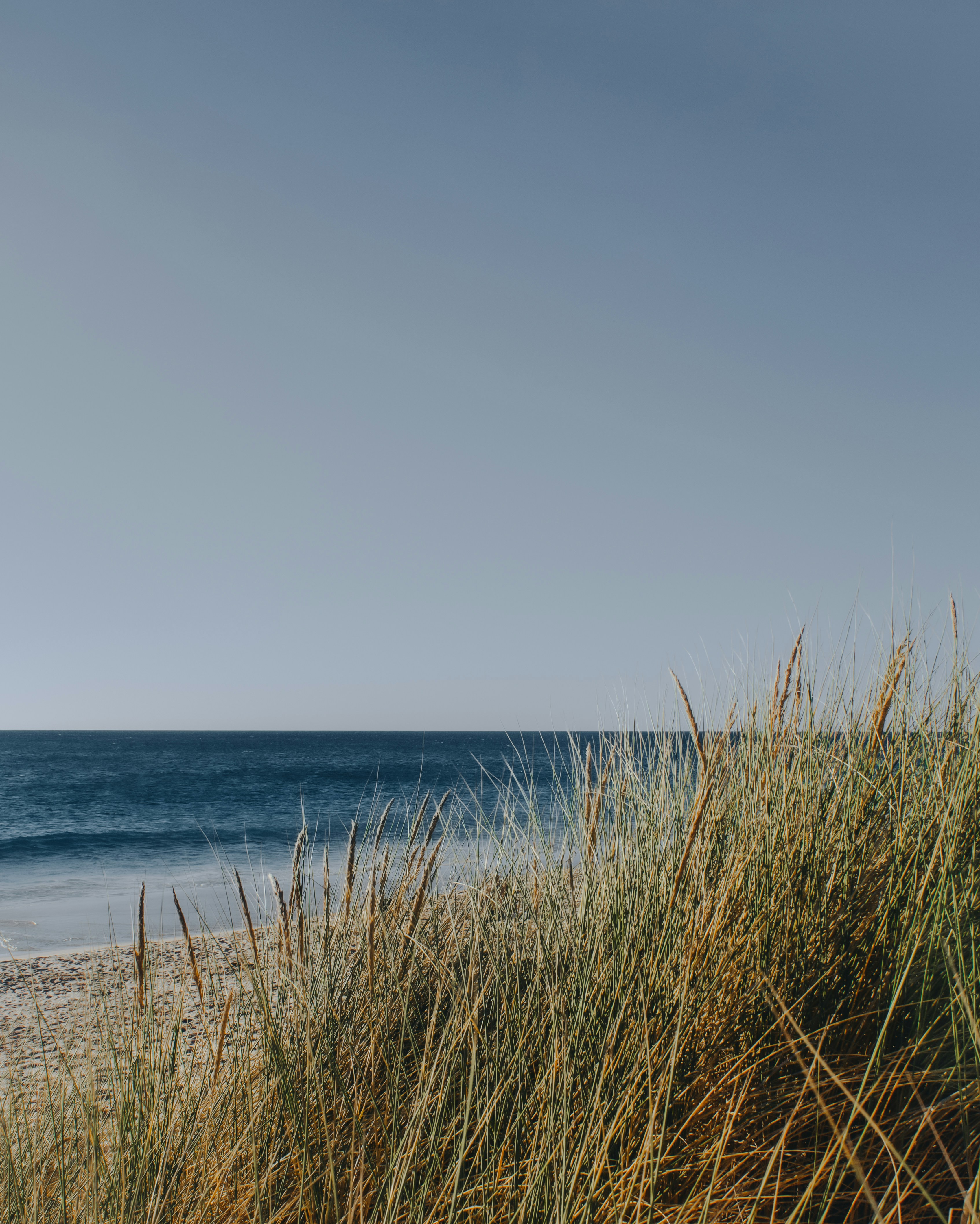 Dialectical Behavior Therapy's Biosocial Theory: Understanding Emotion Dysregulation