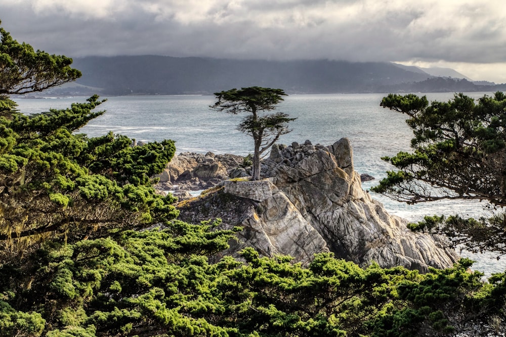 green trees on rocky mountain near sea under cloudy sky during daytime