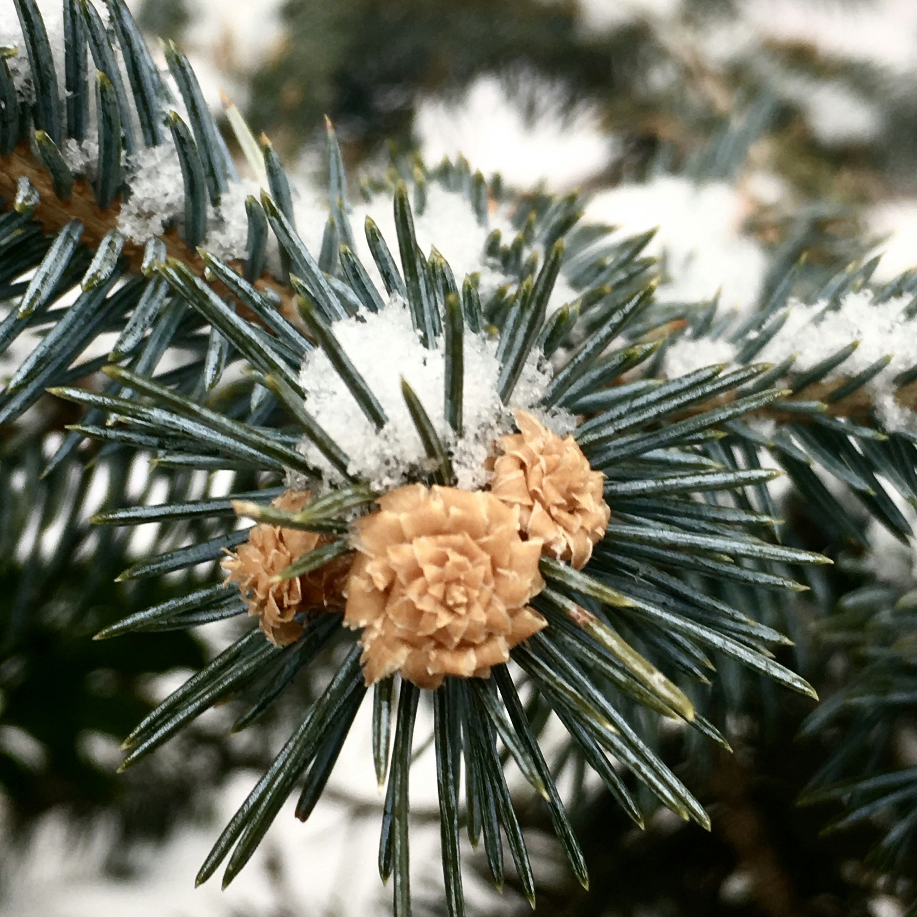 Photo by janinekrobinson